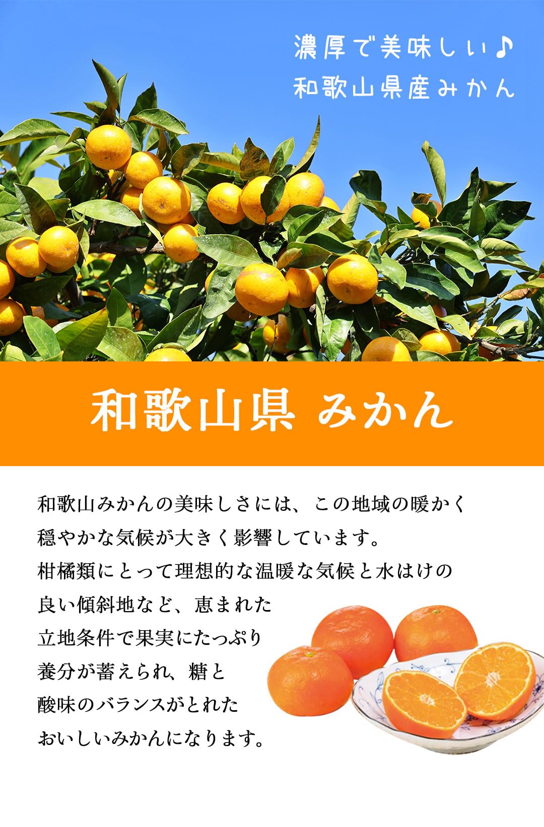 Amazon.co.jp: お中元 夏ギフト プレゼント 人気 summer gift ギフト